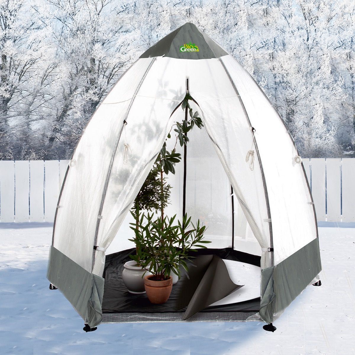 Biogreen Überwinterungszelt Gewächshaus Tropical Island XL 340 x 340 x 280 cm