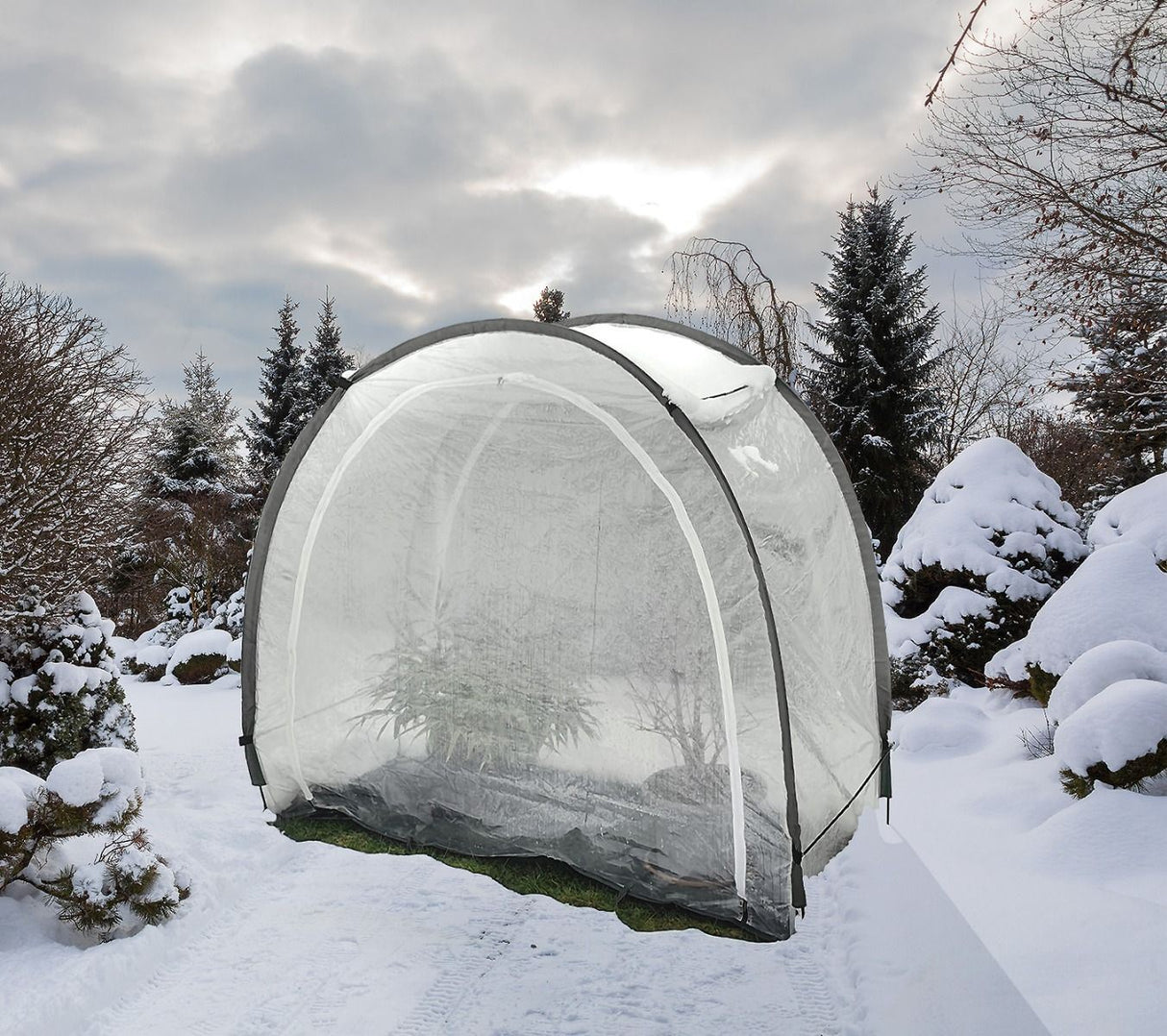 Biogreen Pflanzenzelt Arctic 100 186 x 84 x 175 cm