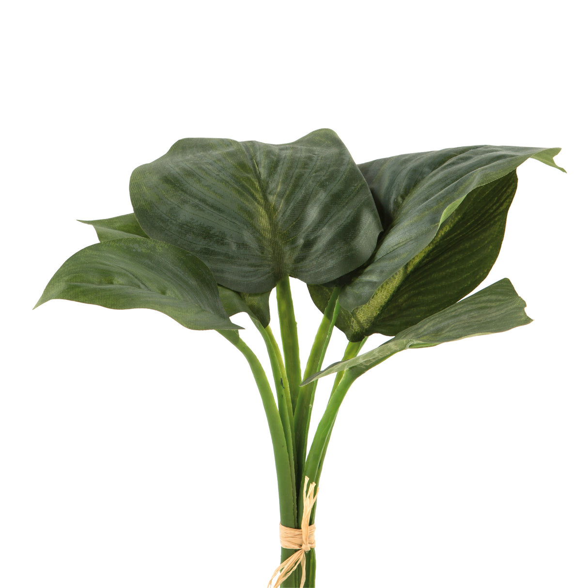 Fink Kunstblume Hosta grün synthetische Faser Höhe 32 cm