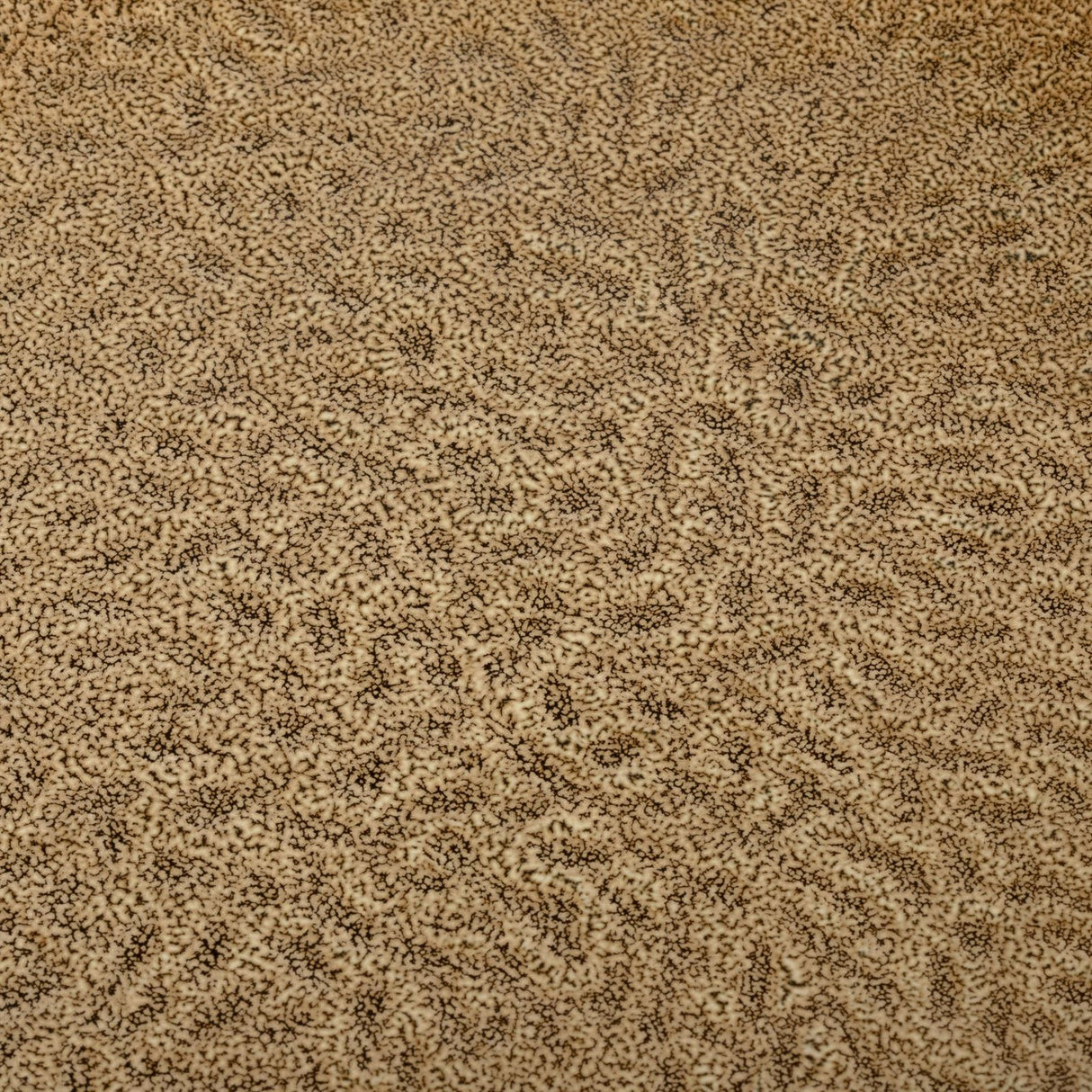 Leonardo Geschirrset MATERA beige, 12 tlg.