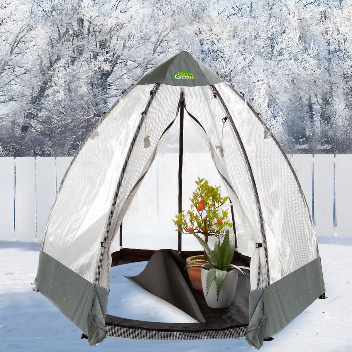 Biogreen Überwinterungszelt Gewächshaus Tropical Island L 240 x 240 x 200 cm