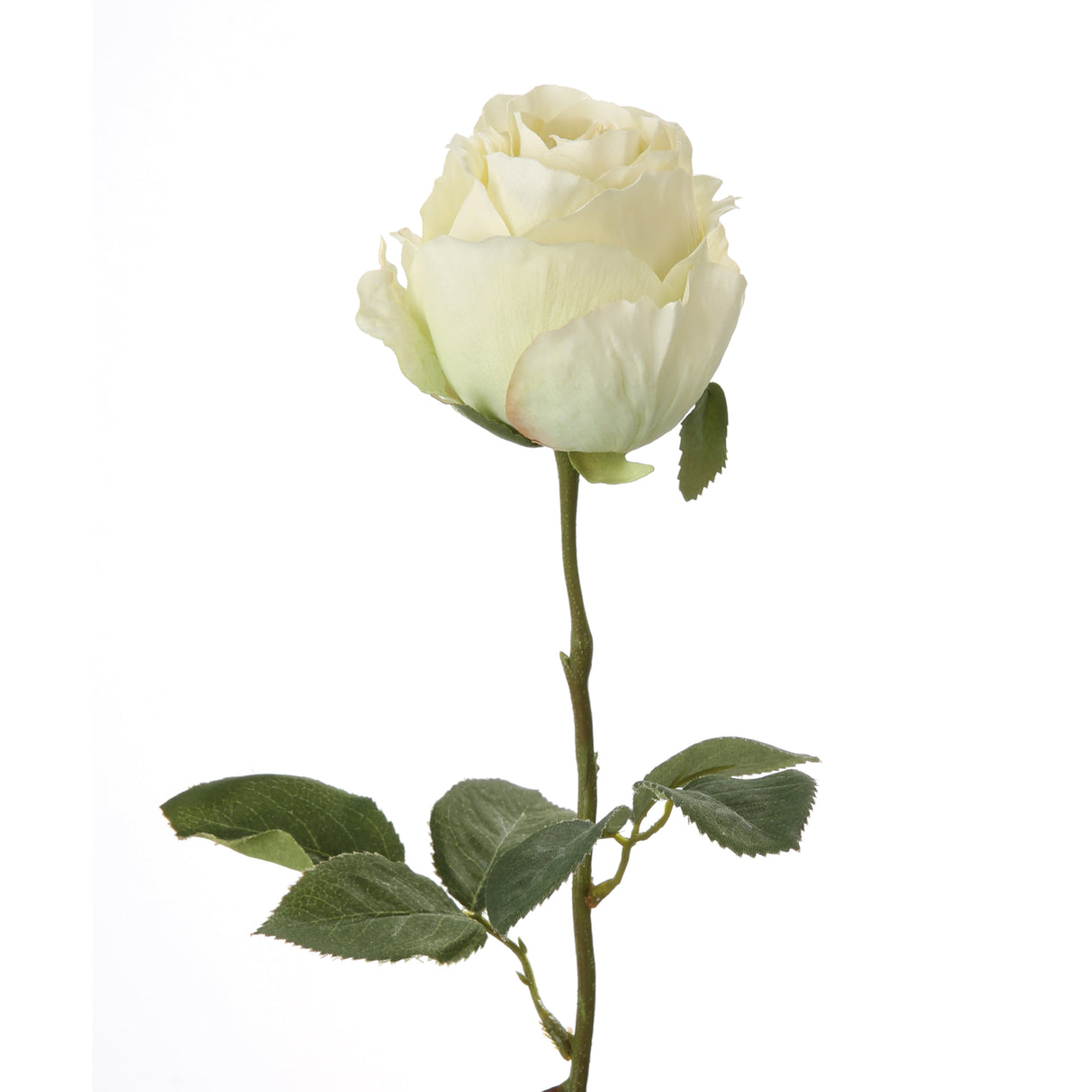Fink Kunstblume Rose ivory Kunstfasern Höhe 60 cm