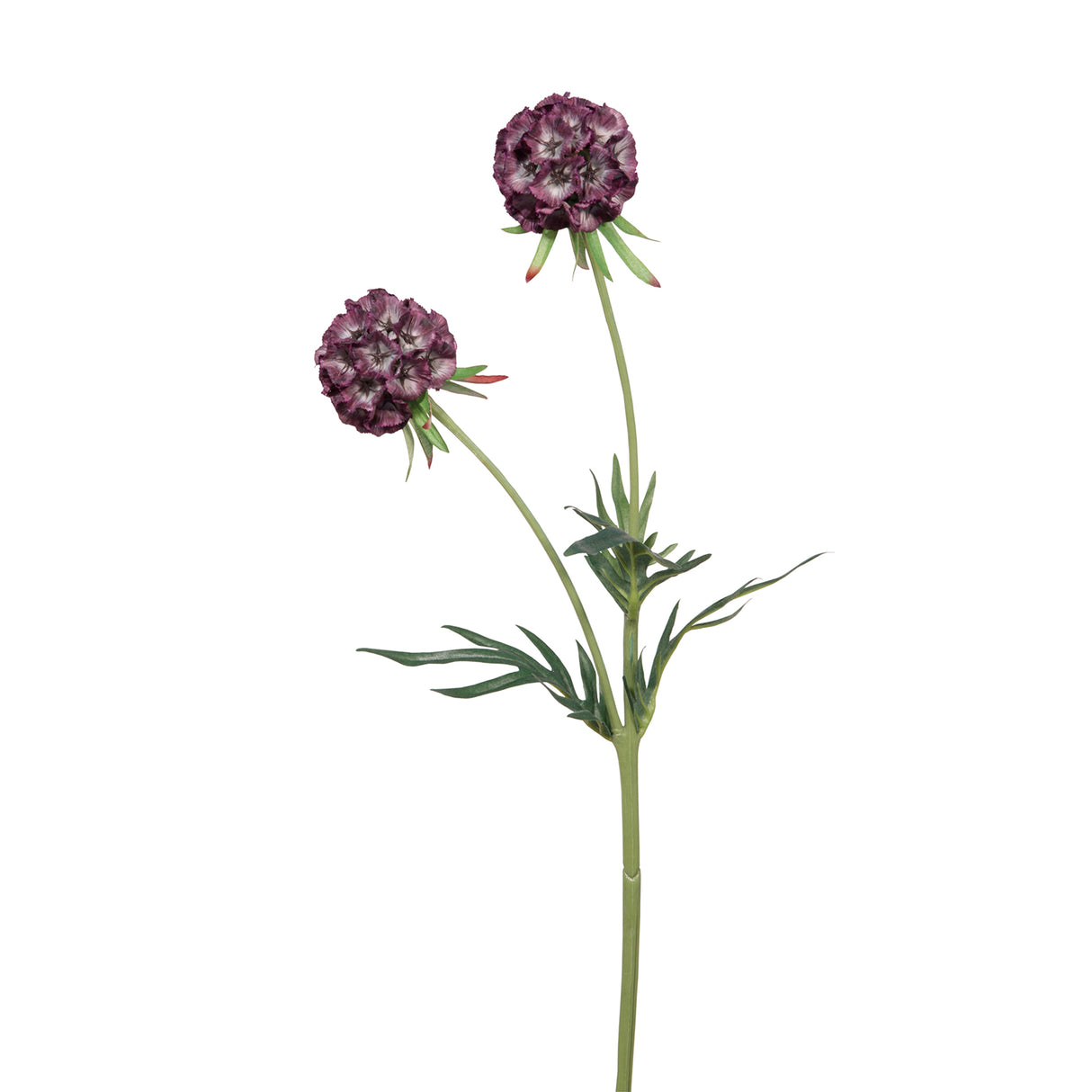 Fink Kunstblume Scabiosa lila Kunstfasern Höhe 55 cm