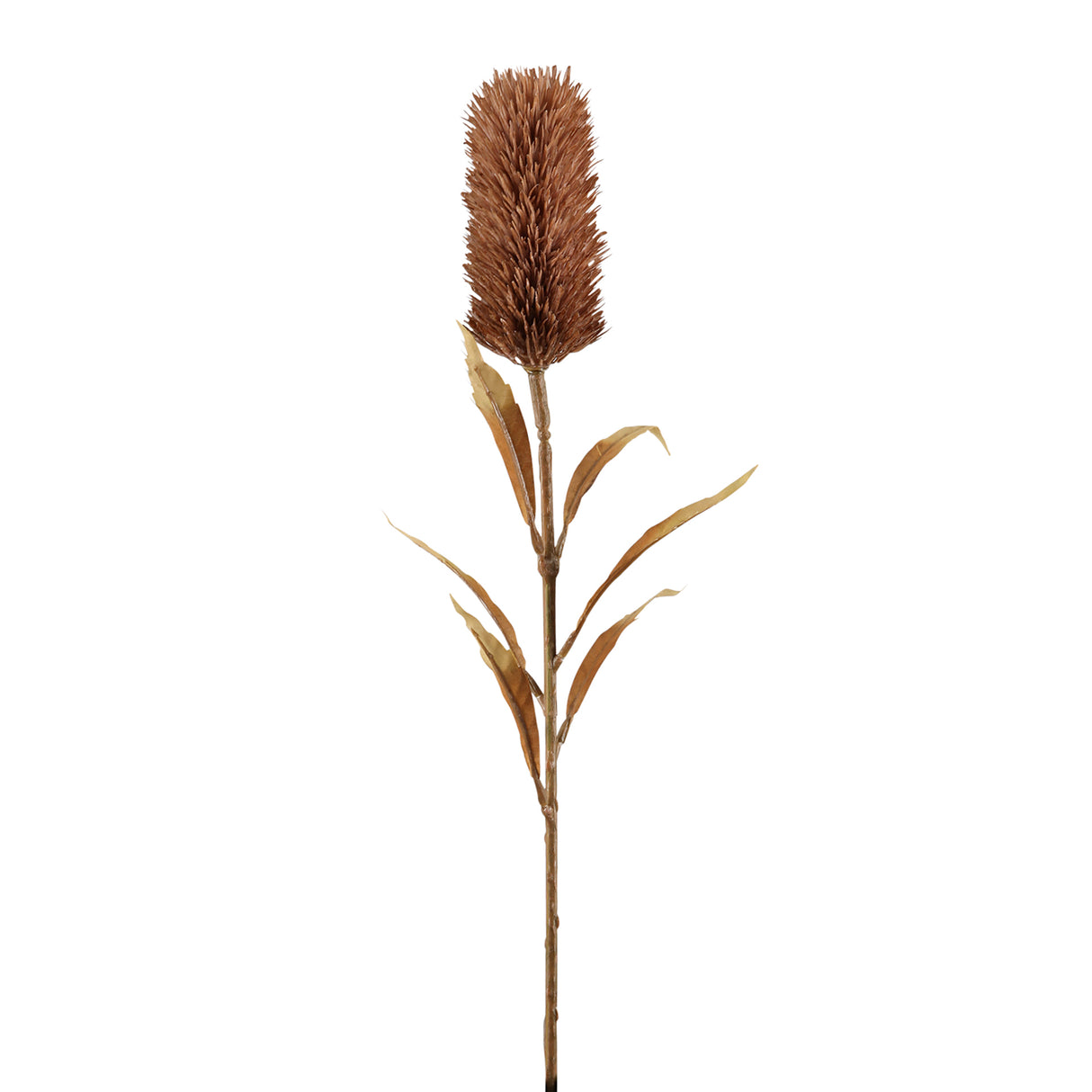 Fink Kunstblume Schilfkolben rot Kunstfasern Höhe 77 cm