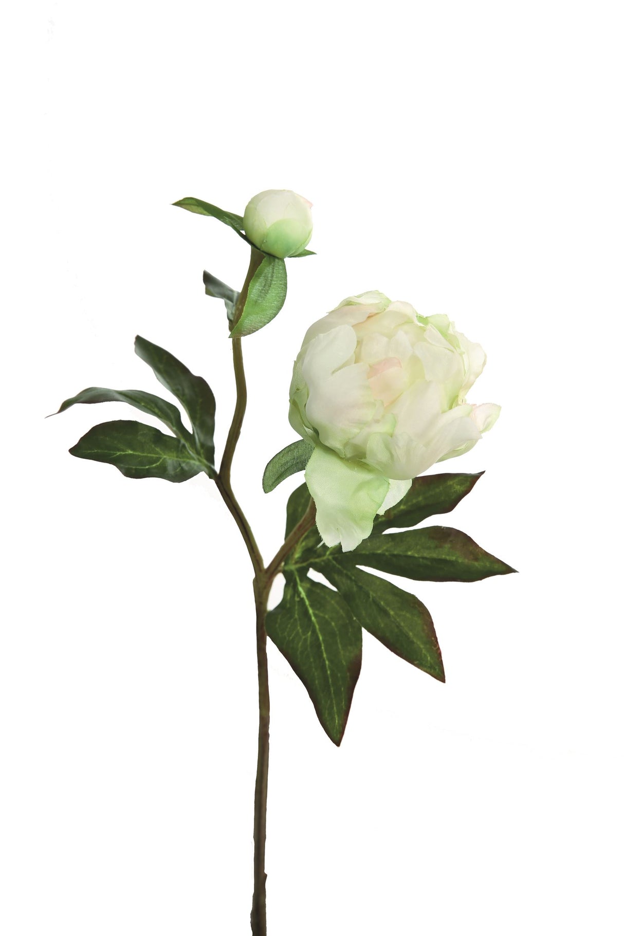 Fink Kunstblume Pfingstrose creme, hellgrün Kunstfasern Höhe 45 cm