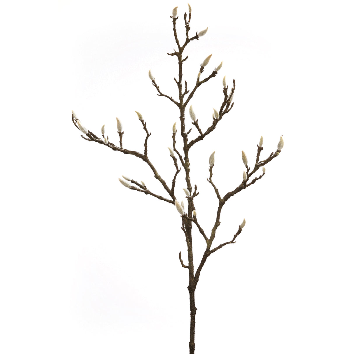 Fink Kunstblume Magnolienknospenzweig dunkelbraun Kunstfasern Höhe  cm
