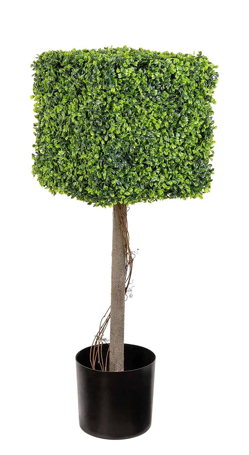 Fink Quader Buchs grün Kunststoff Höhe 90 cm