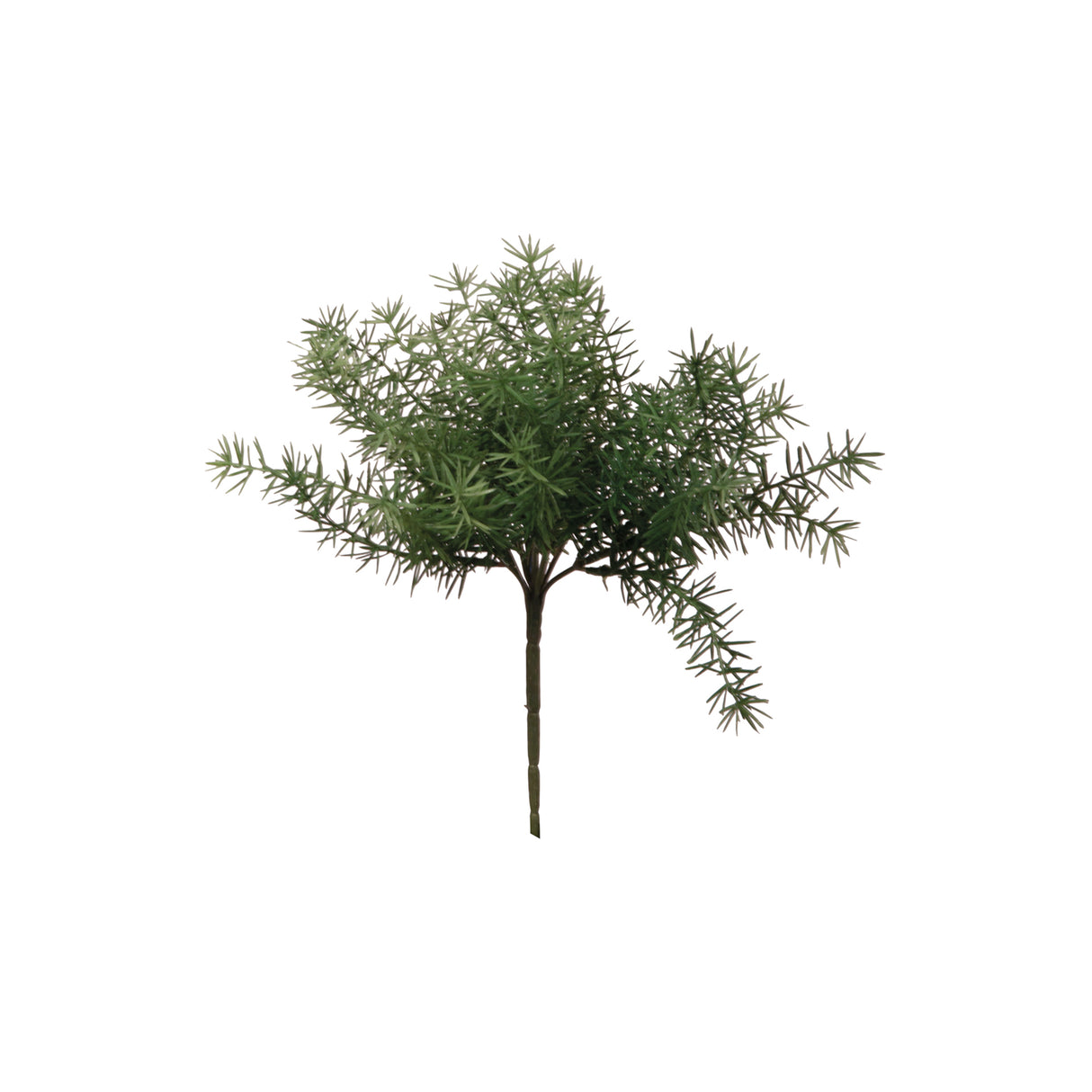 Fink Kunstblume Asparagus grün Kunstfasern Höhe 26 cm