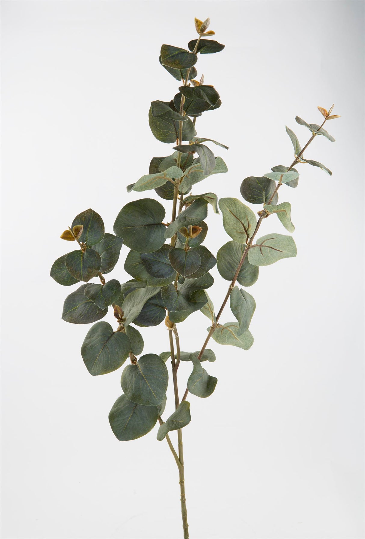Fink Kunstblume Eucalyptuszweig dunkelgrün Kunstfasern Höhe 110 cm