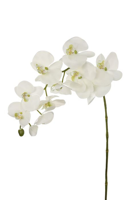 Fink Kunstblume Orchidee weiß Kunstfasern Höhe  cm