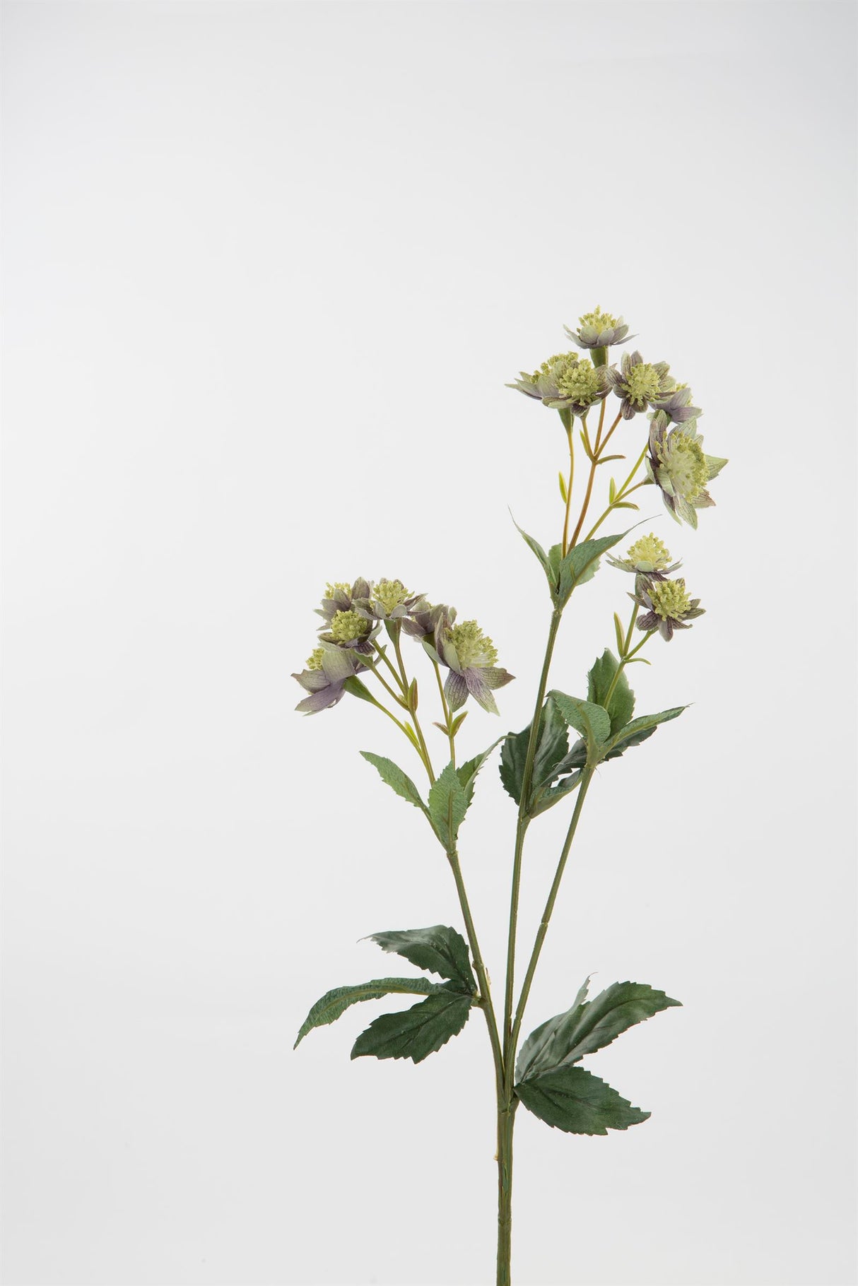 Fink Kunstblume Astrantia grün, lila Kunstfasern Höhe 44 cm