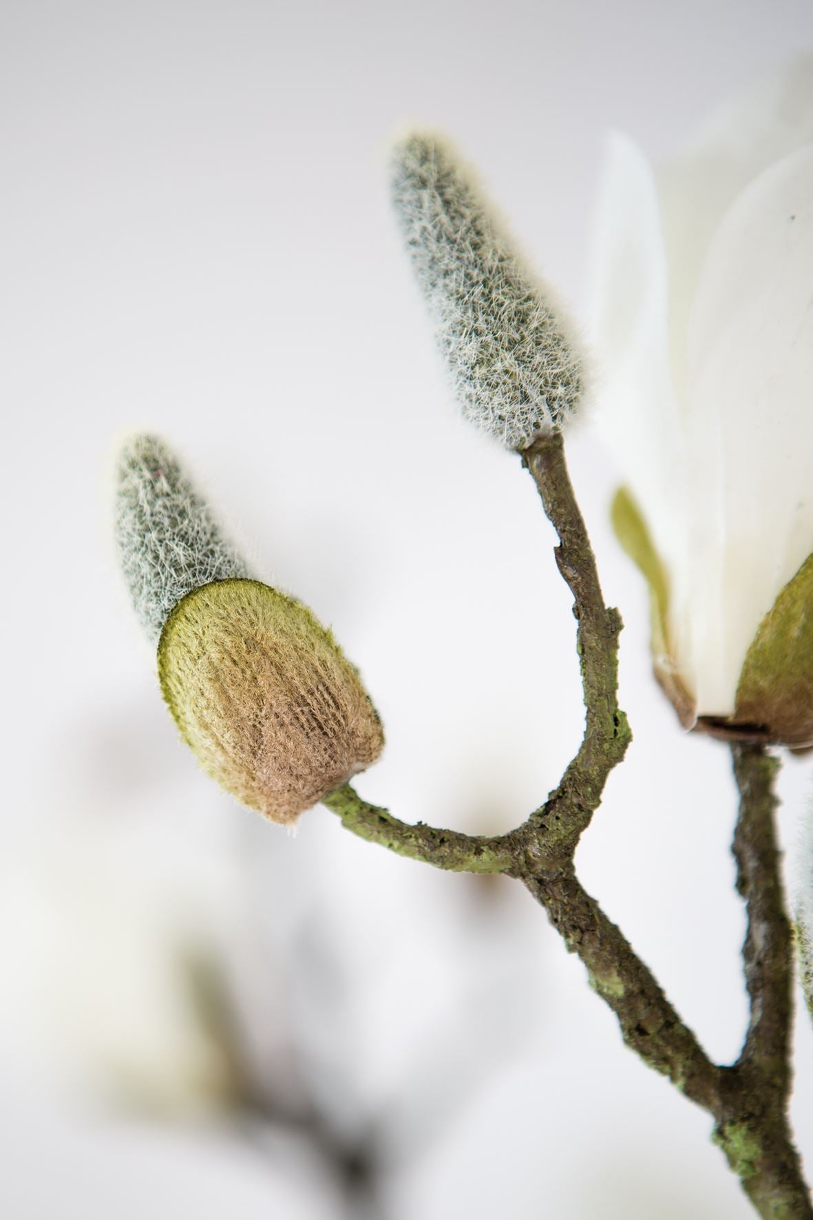 Fink Kunstblume Magnolienzweig weiß Kunstfasern Höhe  cm