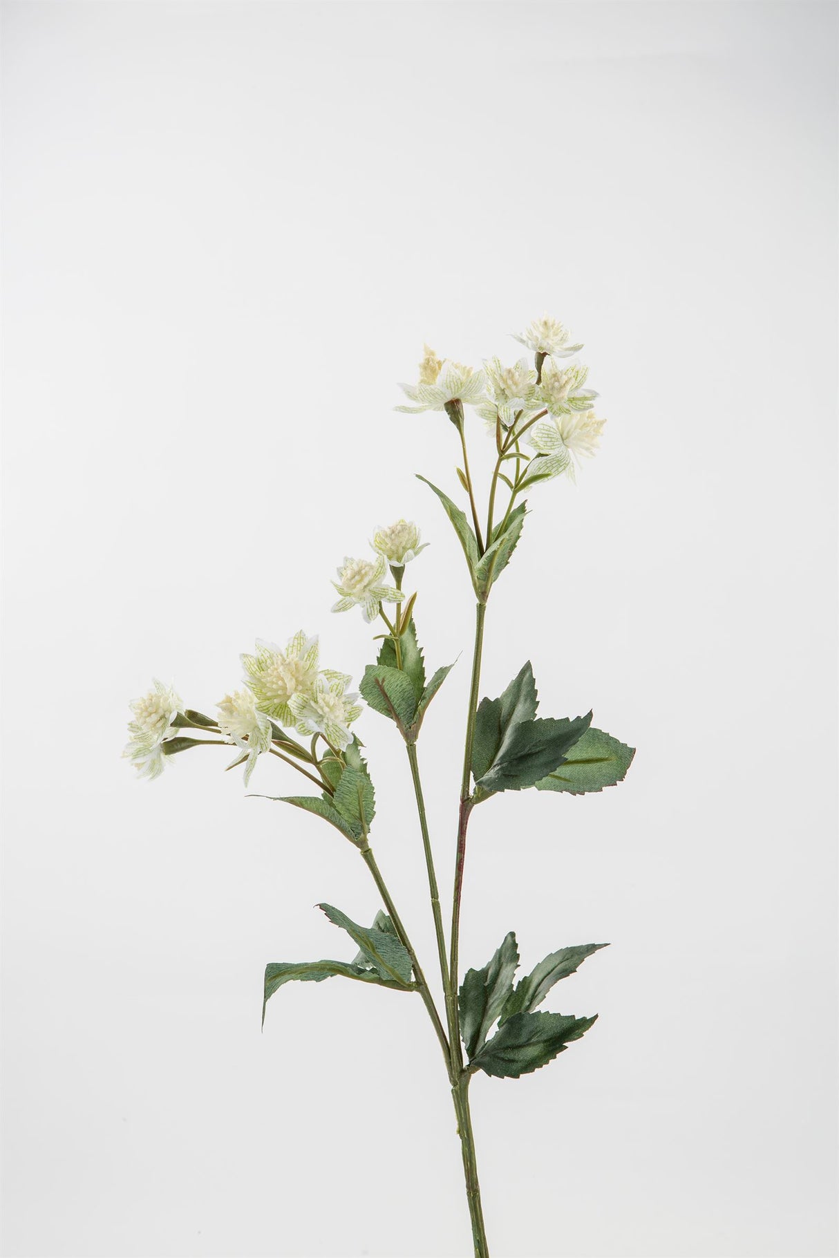 Fink Kunstblume Astrantia grün, weiß Kunstfasern Höhe 44 cm
