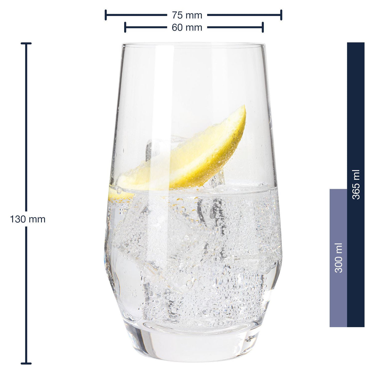 Leonardo Longdrinkbecher  PUCCINI  klar