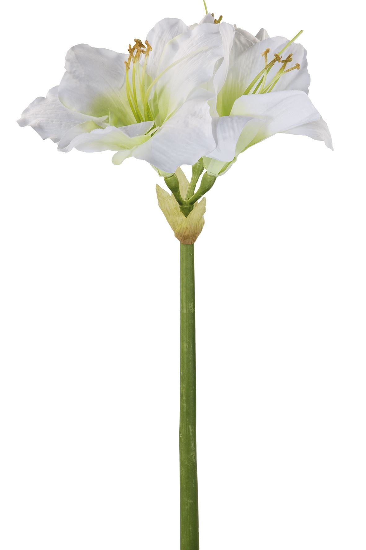 Fink Kunstblume Amaryllis weiß Kunstfasern Höhe 1 cm