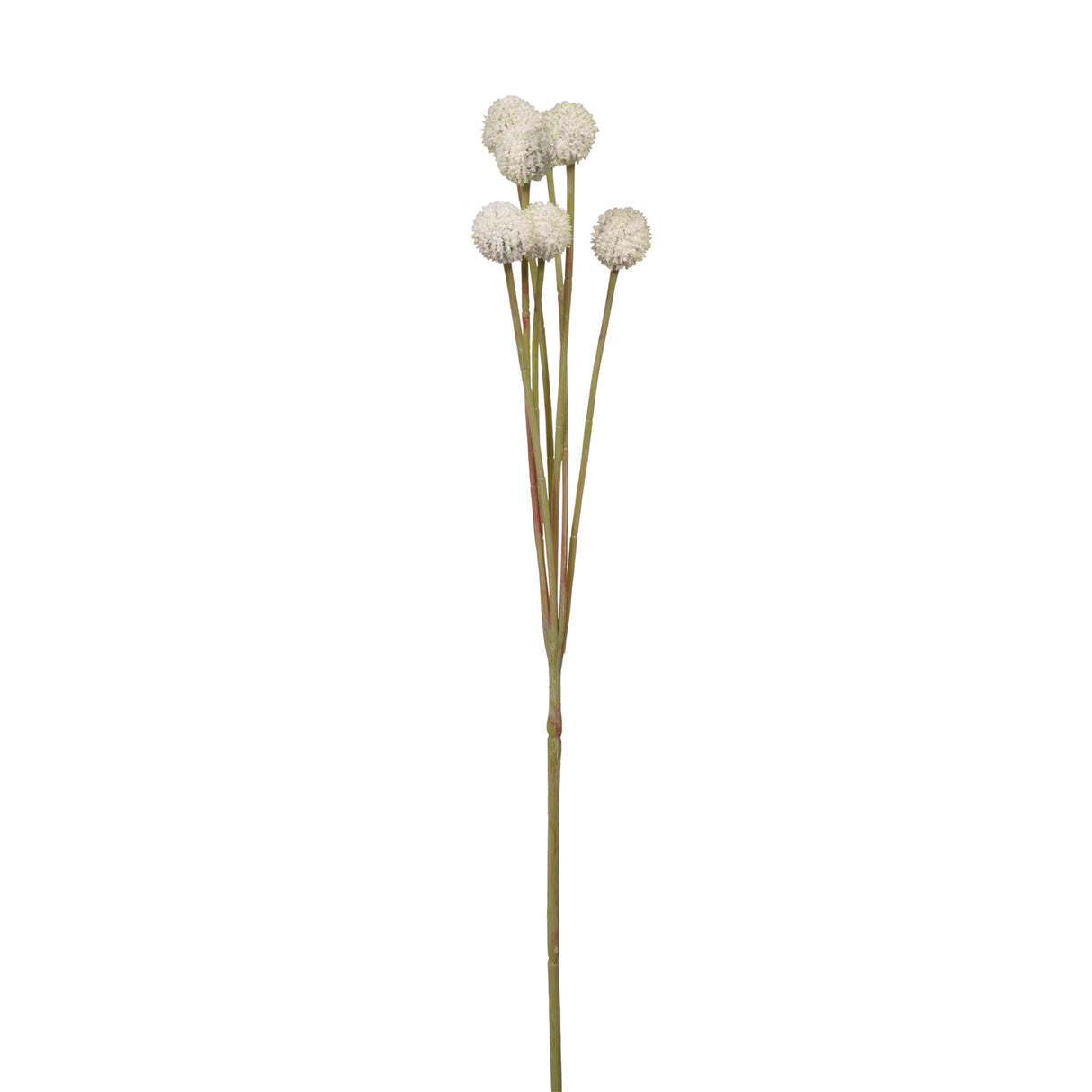 Fink Kunstblume Craspedia creme Kunstfasern Höhe 60 cm