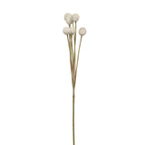 Fink Kunstblume Craspedia creme Kunstfasern Höhe 60 cm