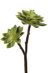 Fink Kunstblume Echeverie grün synthetische Faser Höhe 32 cm