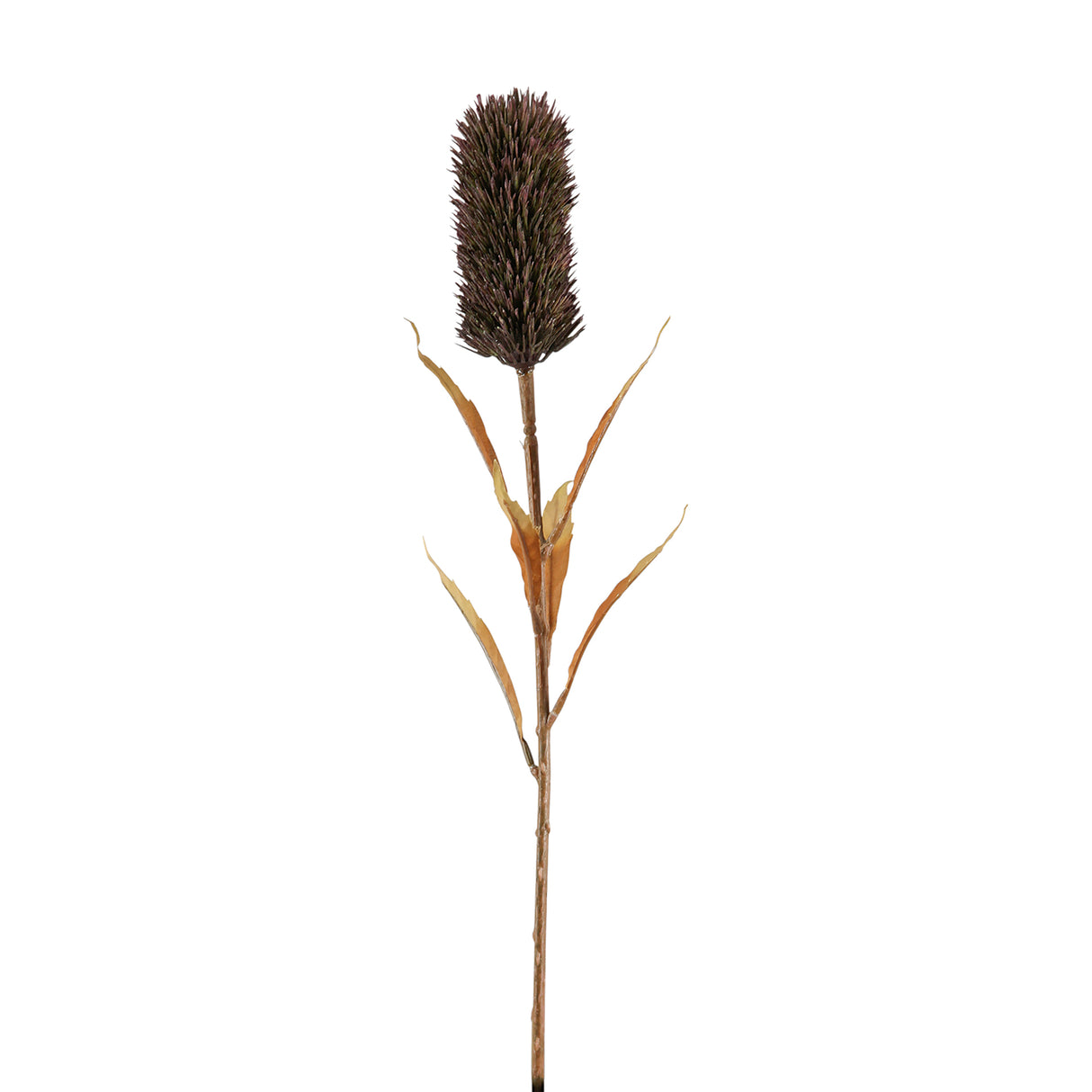 Fink Kunstblume Schilfkolben braun Kunstfasern Höhe 77 cm