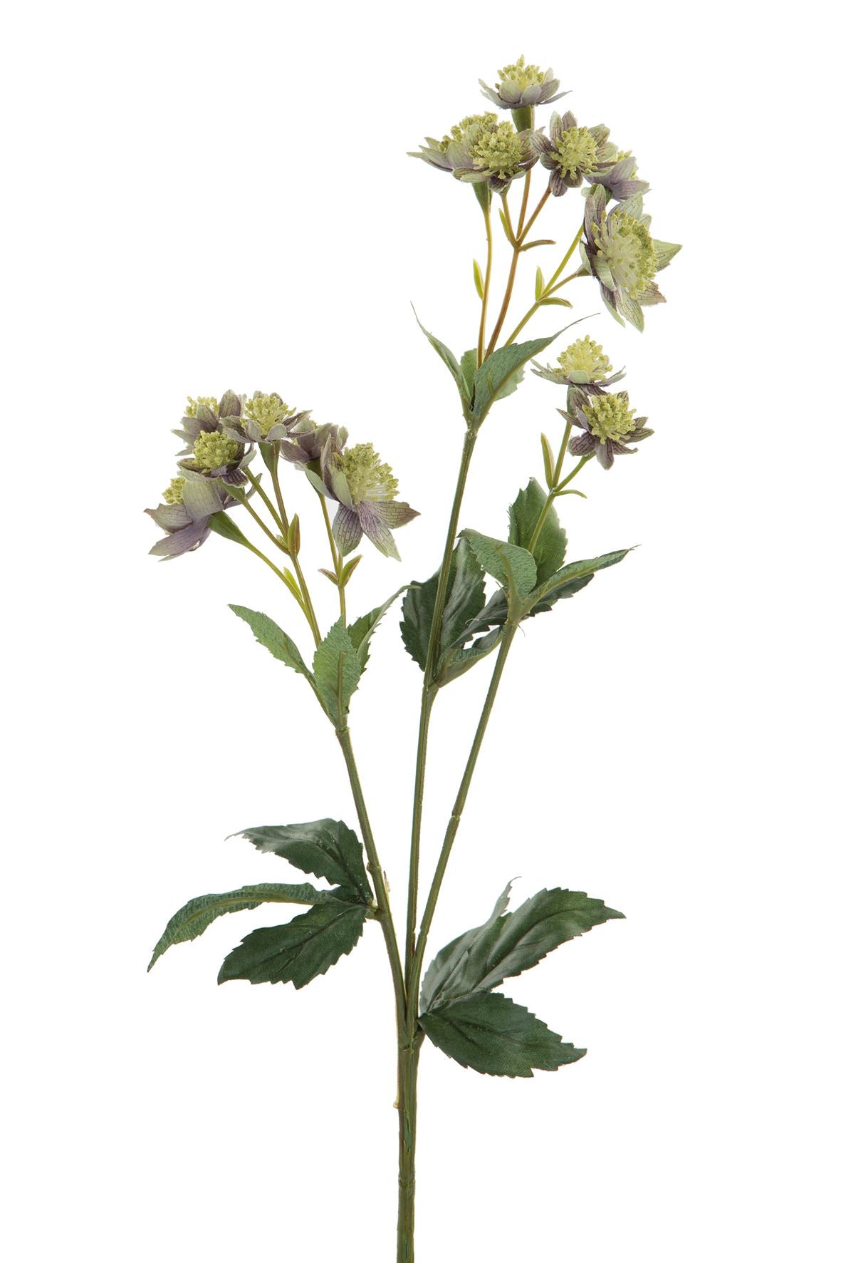 Fink Kunstblume Astrantia grün, lila Kunstfasern Höhe 44 cm