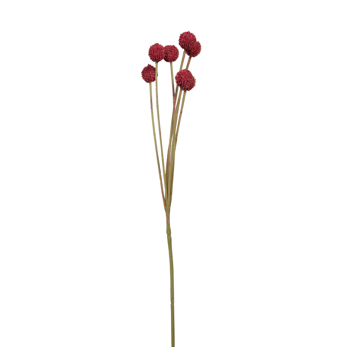 Fink Kunstblume Craspedia dunkelrot Kunstfasern Höhe 60 cm