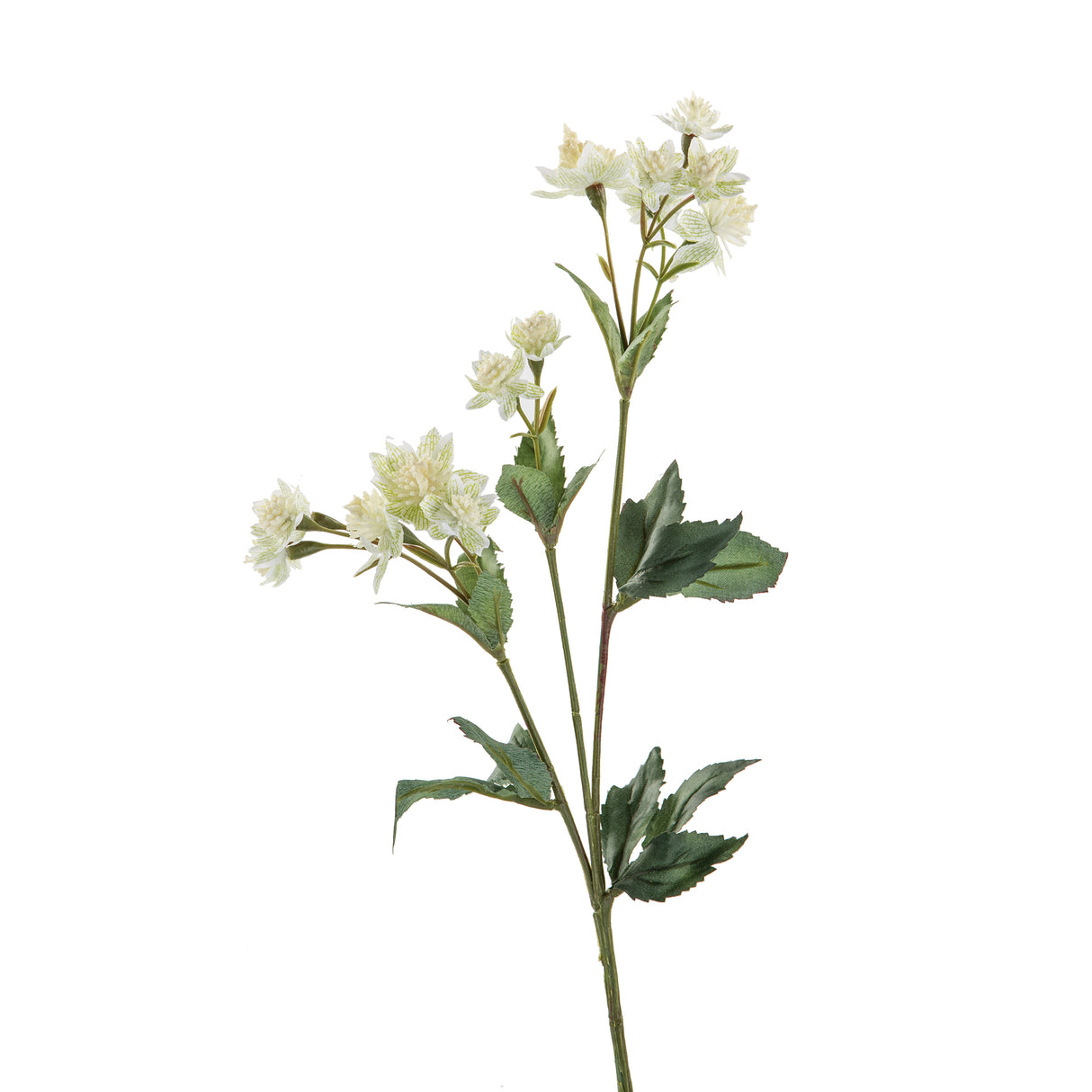 Fink Kunstblume Astrantia grün, weiß Kunstfasern Höhe 44 cm