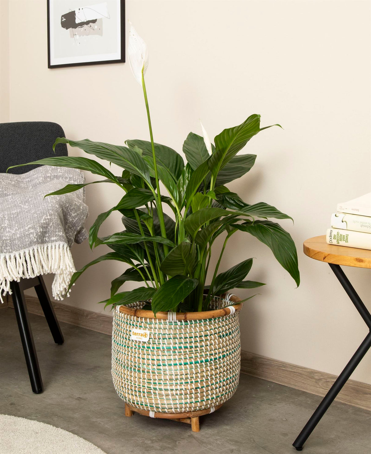 Terra Home Pflanzenübertopf Seegras Rattan Ø33 H30 blau/türkis