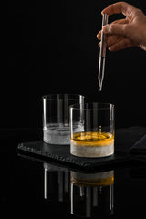 Eisch Whiskyglas Hamilton transparent