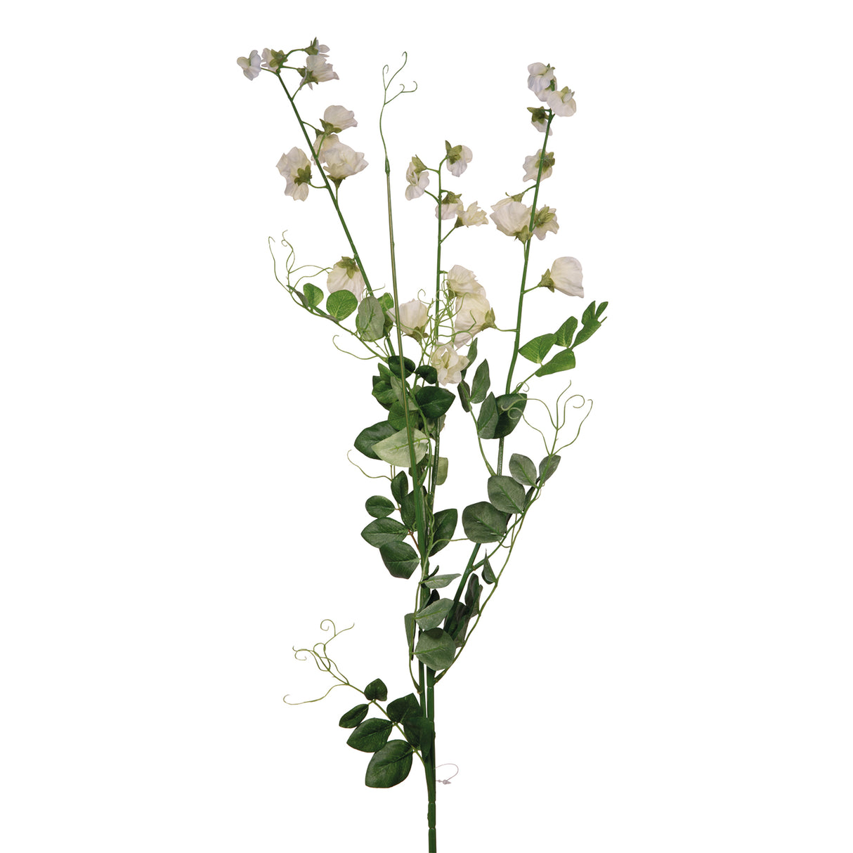 Fink Kunstblume Wicke creme Kunstfasern Höhe 115 cm