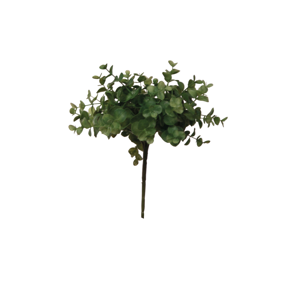 Fink Kunstblume Eukalyptus grün Kunstfasern Höhe 24 cm