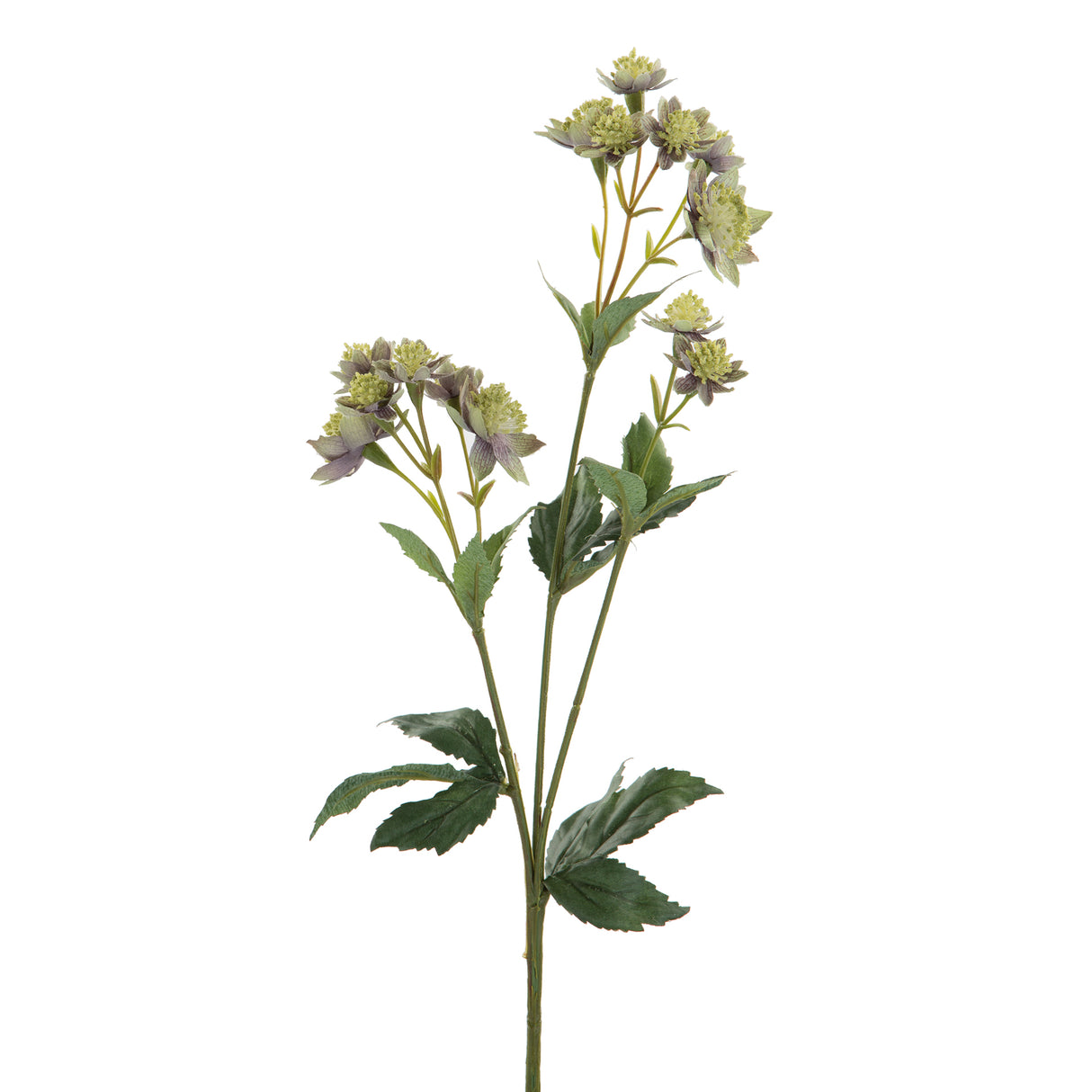 Fink Kunstblume Astrantia grün, lila Kunstfasern Höhe 44 cm