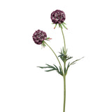 Fink Kunstblume Scabiosa lila Kunstfasern Höhe 55 cm