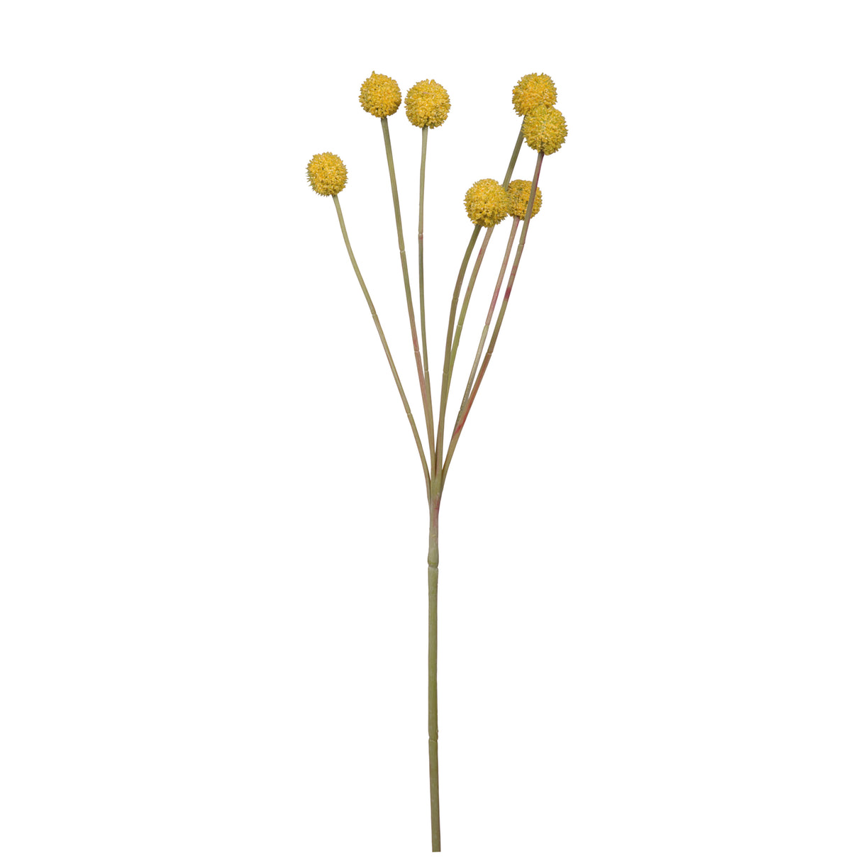 Fink Kunstblume Craspedia gelb Kunstfasern Höhe 60 cm