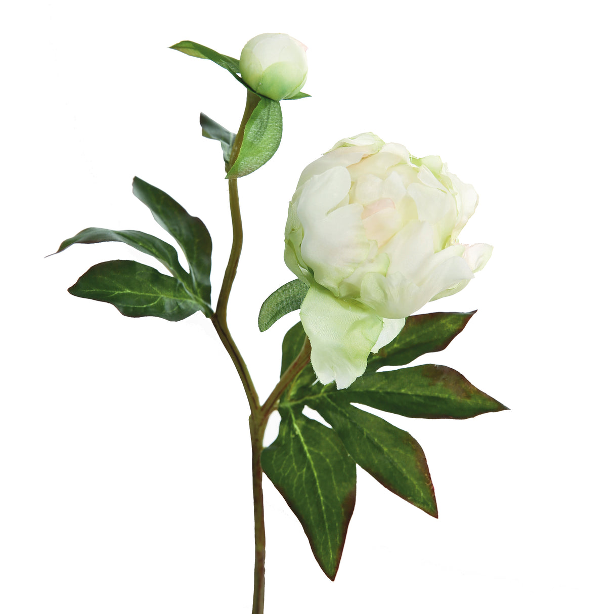 Fink Kunstblume Pfingstrose creme, hellgrün Kunstfasern Höhe 45 cm