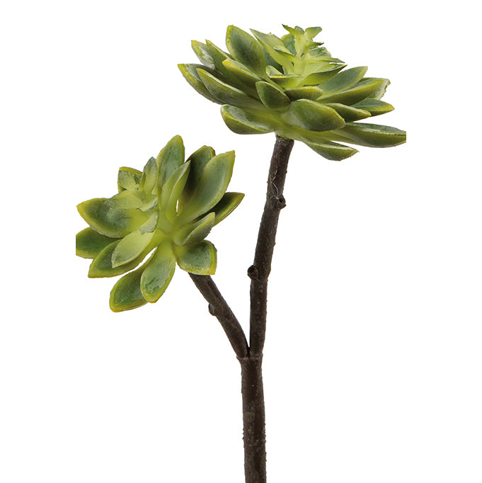 Fink Kunstblume Echeverie grün synthetische Faser Höhe 32 cm