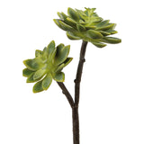 Fink Kunstblume Echeverie grün synthetische Faser Höhe 32 cm