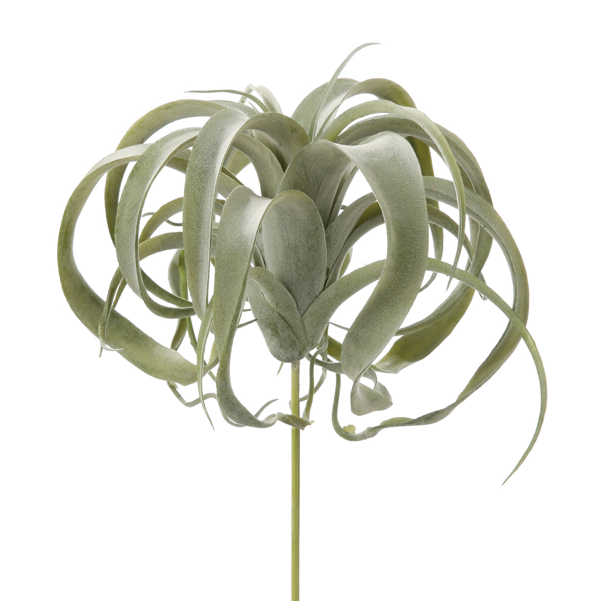 Fink Kunstblume Tillandsia grün Kunstfasern Höhe  cm