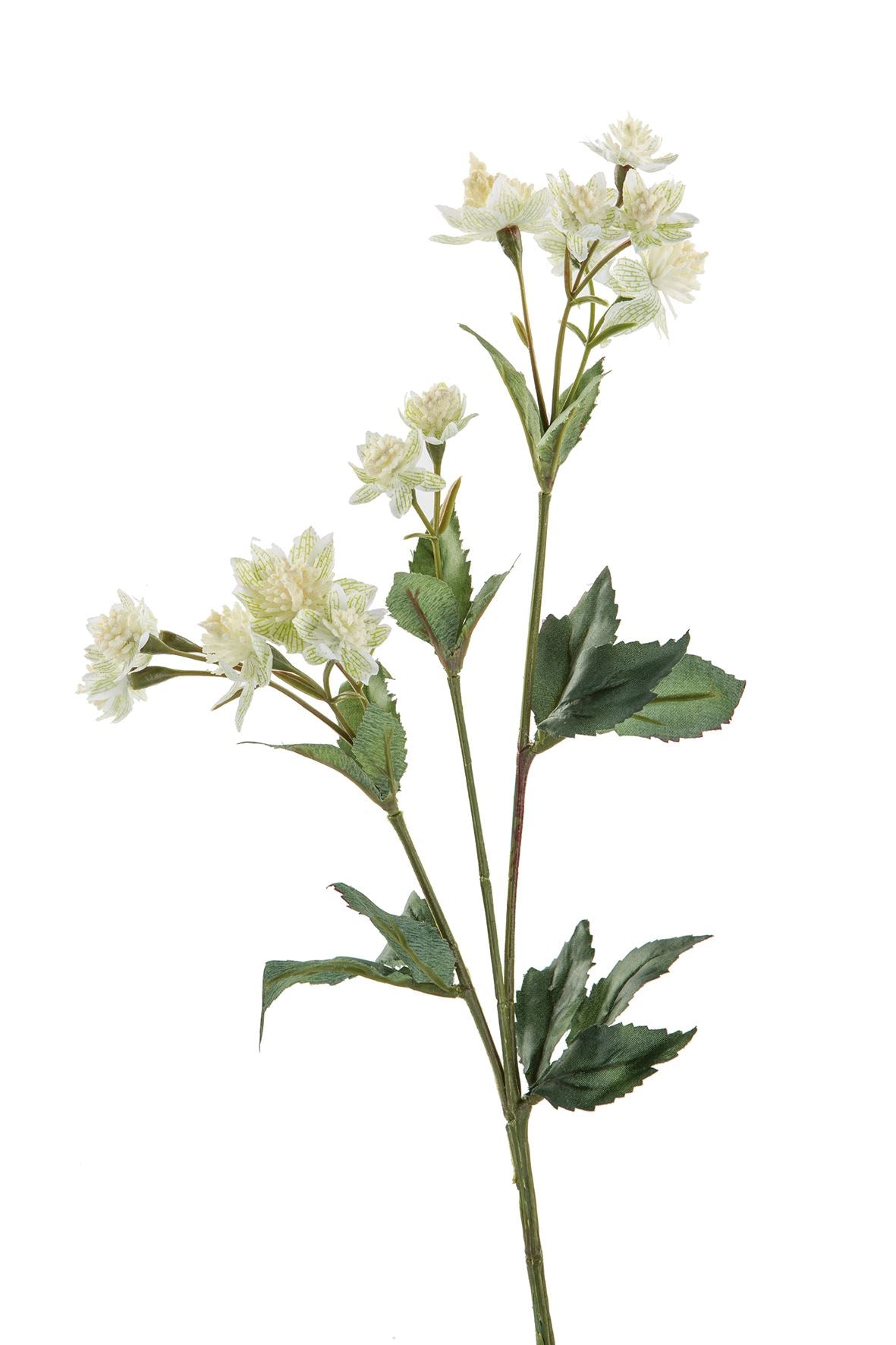 Fink Kunstblume Astrantia grün, weiß Kunstfasern Höhe 44 cm