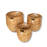 Terra Home Korbset 3 er Set Wasserhyazinthe Rattan Ø45/38,5/33,5 H45/40/35 braun