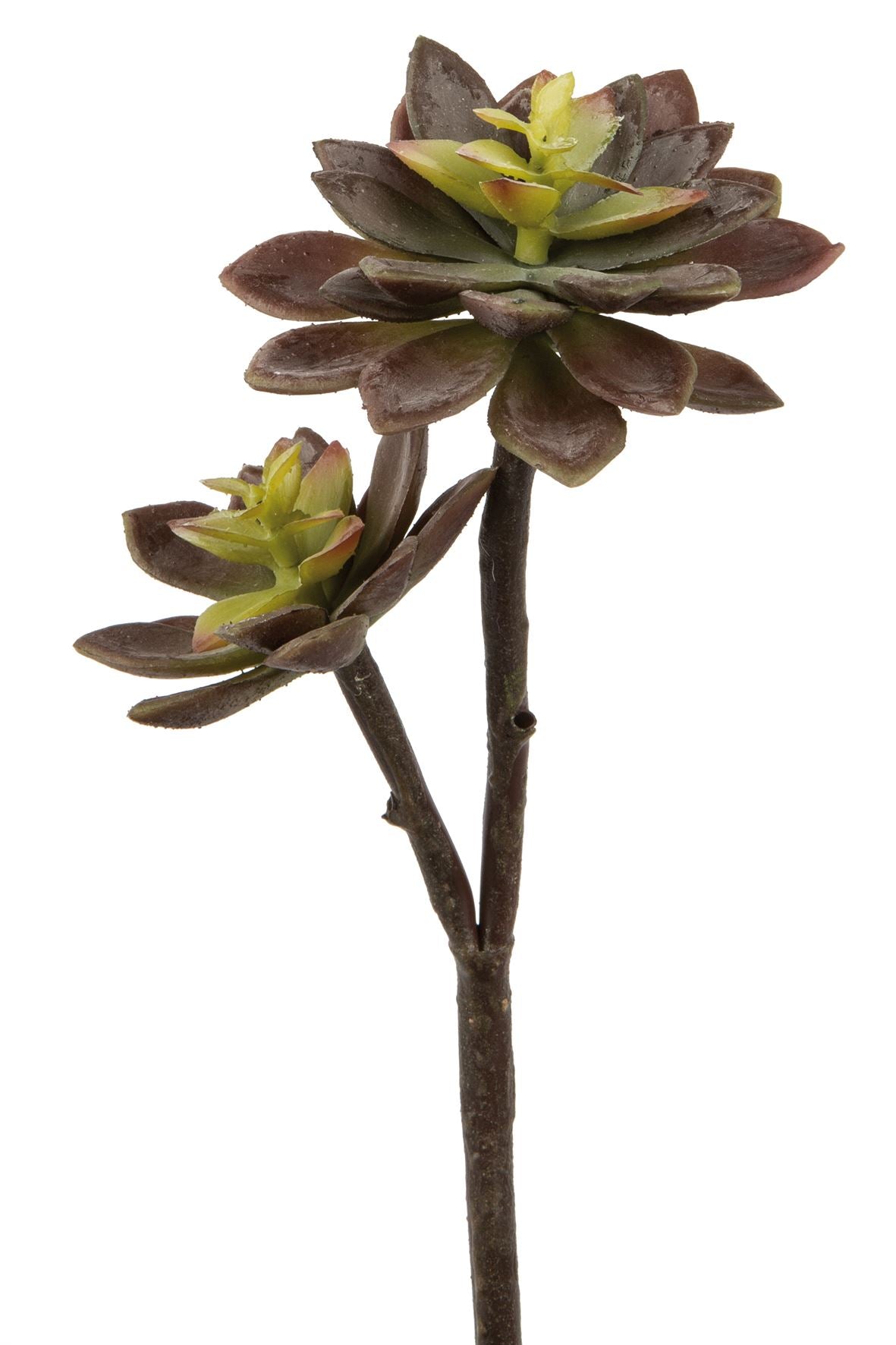 Fink Kunstblume Echeverie grün, rot synthetische Faser Höhe 32 cm