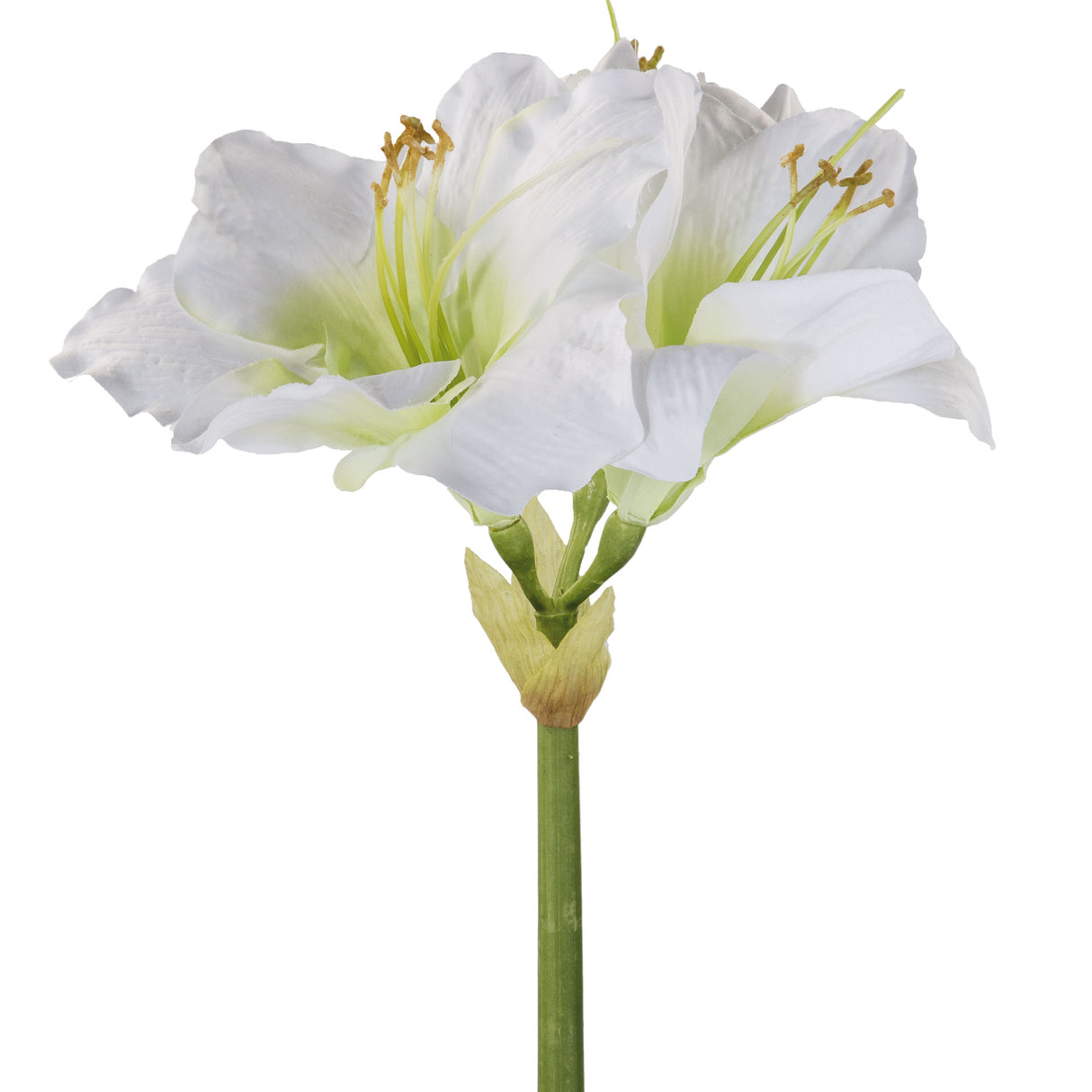 Fink Kunstblume Amaryllis weiß Kunstfasern Höhe 1 cm