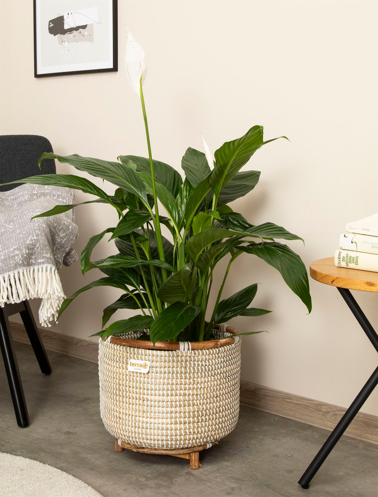 Terra Home Pflanzenübertopf Seegras Rattan Ø33 H30 weiß